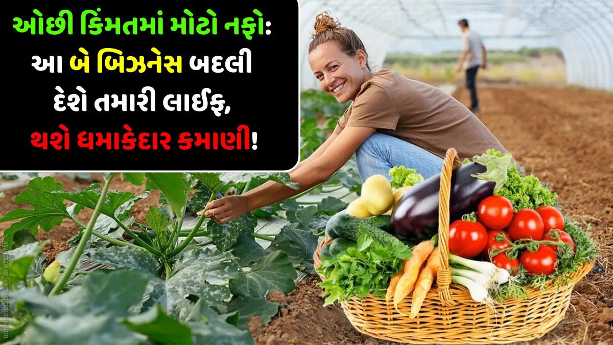 Low Investment Business